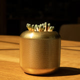 The Craighill Match Striker (Brass), crafted from golden, textured solid brass, holds dozens of green-tipped strike anywhere matches and rests elegantly on a sunlit wooden surface.