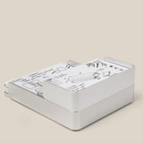 The Analog Capture Kit - Small & Large (Silver Aluminum) features a sleek card holder with illustrated instruction cards and Dot Grid Cards, some partially pulled out, displayed against a neutral background.